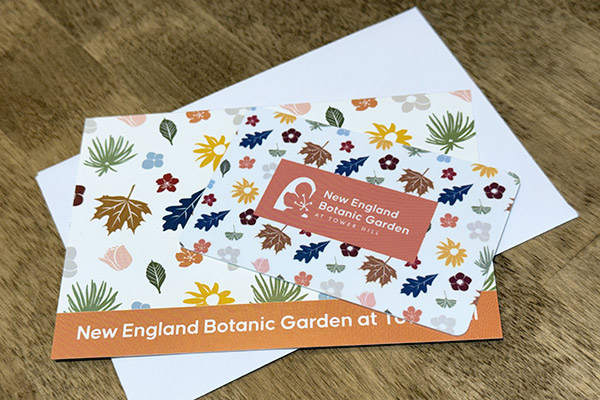The Garden's shop gift card and envelope on a table